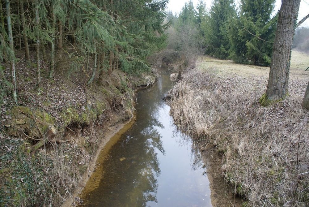 Crezilles Hotes Kültér fotó